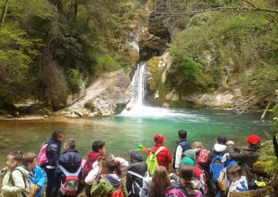 Acqua, la base della vita (consigliato per la classe III)