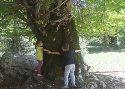 A spasso nei Boschi