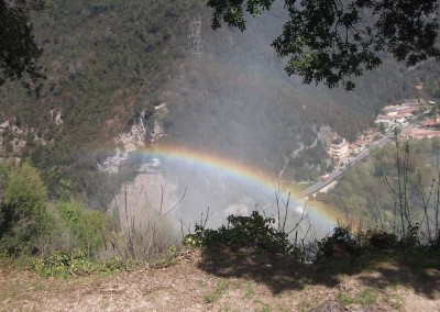 L’Energia e le sue tante forme (consigliato per la classe V)